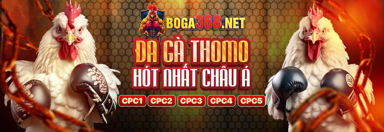 Sảnh Game Bài sbet Trực Tuyến Hấp Dẫn